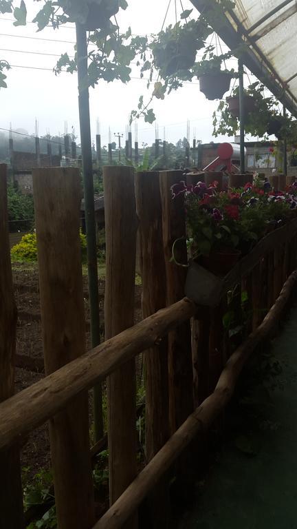 努沃勒埃利耶 Mangala Flora酒店 外观 照片